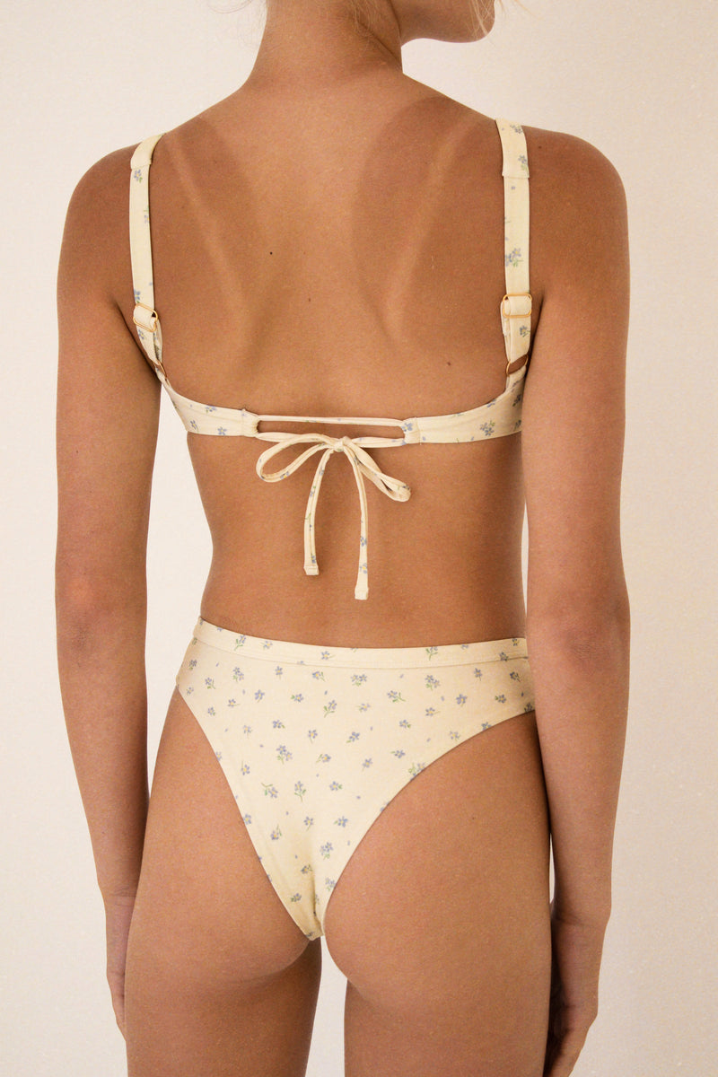 Olive Bottom - Parisian Summer